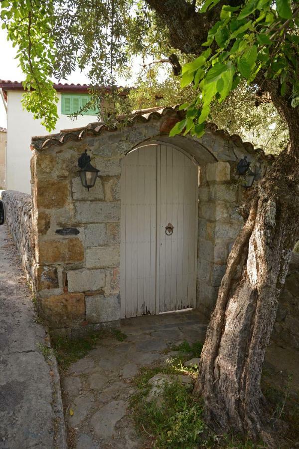 Mistra Estates Villa The Vine Pikouliánika エクステリア 写真