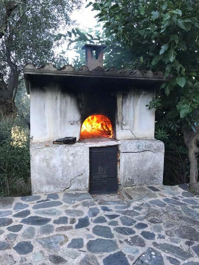 Mistra Estates Villa The Vine Pikouliánika エクステリア 写真