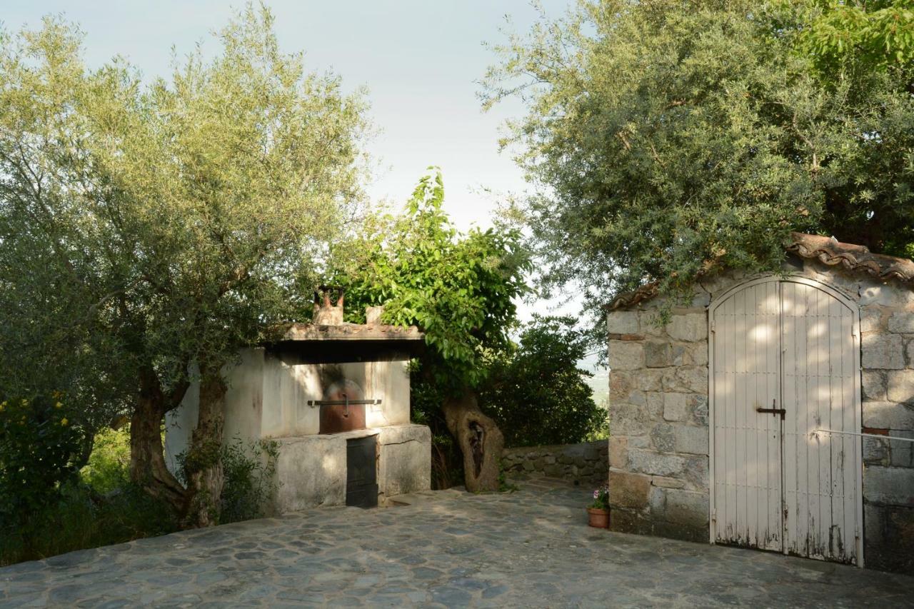 Mistra Estates Villa The Vine Pikouliánika エクステリア 写真