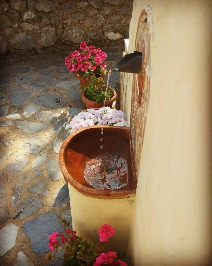 Mistra Estates Villa The Vine Pikouliánika エクステリア 写真