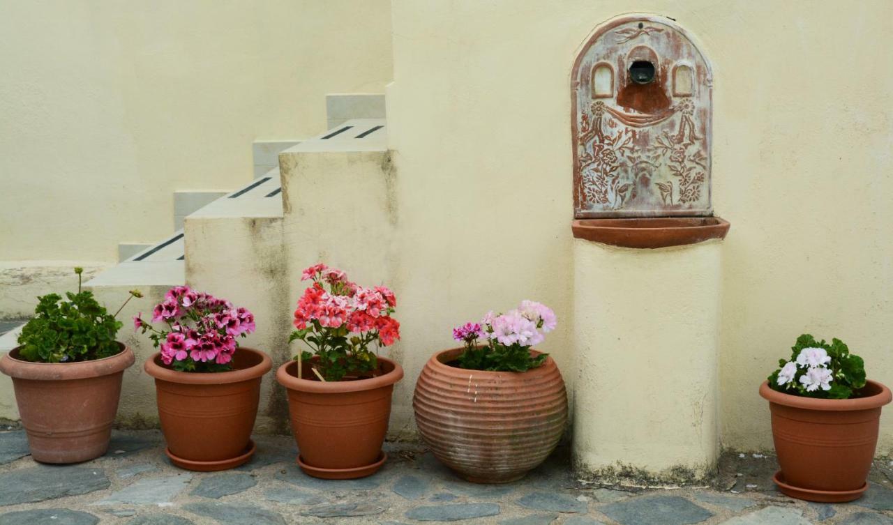 Mistra Estates Villa The Vine Pikouliánika エクステリア 写真